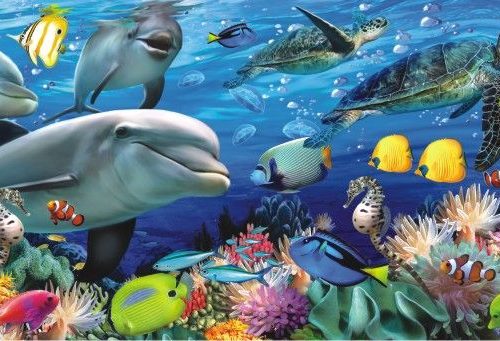 پازل ۱۰۰۰ تکه پانوراما دنیای زیر آب