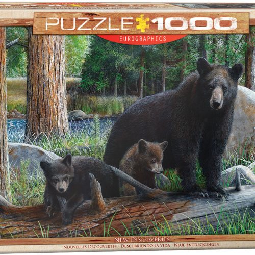 پازل ۱۰۰۰ تکه اکتشافات جدید اثر کوین دنیل - اسمارت کات