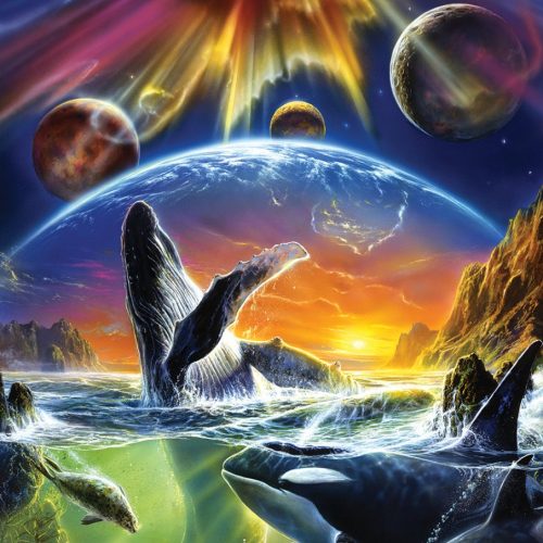 پازل ۵۰۰ تکه دنیای نهنگ اورکا