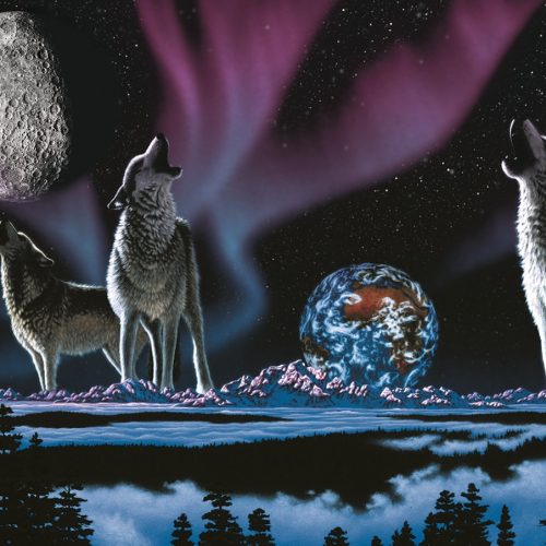 پازل ۱۰۰۰ تکه آوای زمین اثر ویلیام