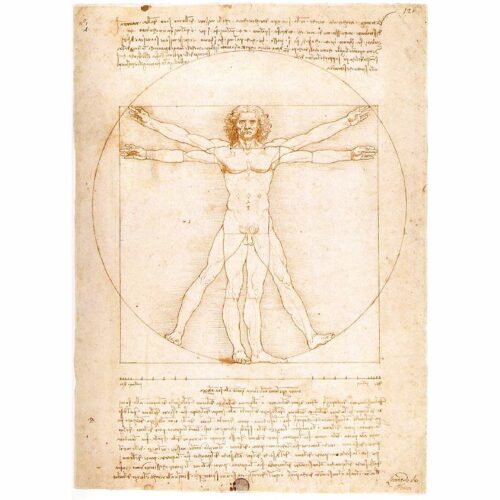 پازل ۱۰۰۰ تکه مرد ویترویوسی اثر لئوناردو داوینچی