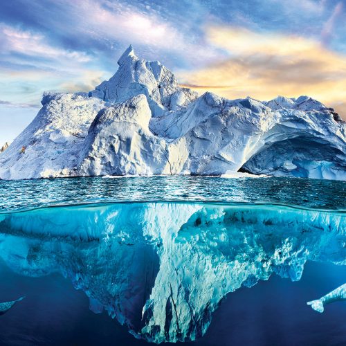 پازل ۱۰۰۰ تکه قطبی - اسمارت کات