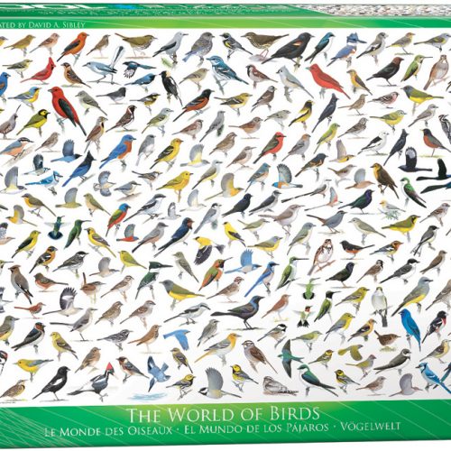 پازل ۱۰۰۰ تکه دنیای پرندگان - اسمارت کات