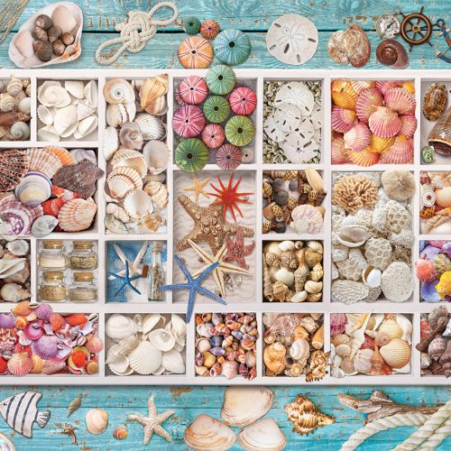 پازل ۱۰۰۰ تکه مجموعه صدف‌های دریایی - اسمارت کات