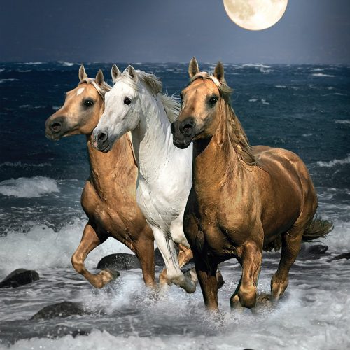 پازل ۱۵۰۰ تکه تاخت اسب ها