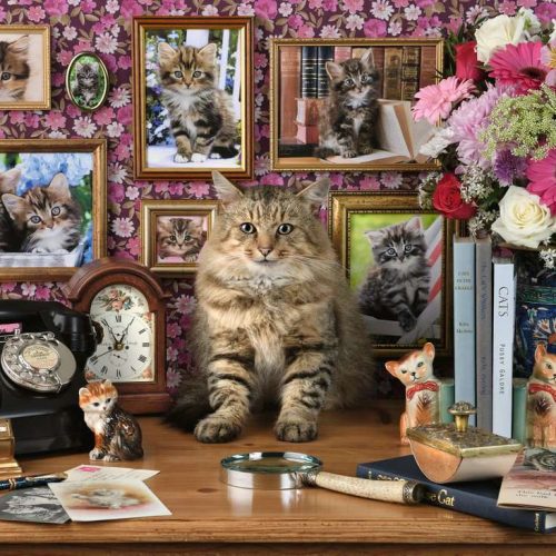 پازل ۱۰۰۰ تکه بچه گربه ناز من