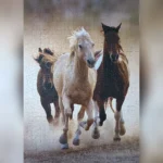 تصویر چیده شده پازل ۱۰۰۰ تکه اسبها در حال دویدن