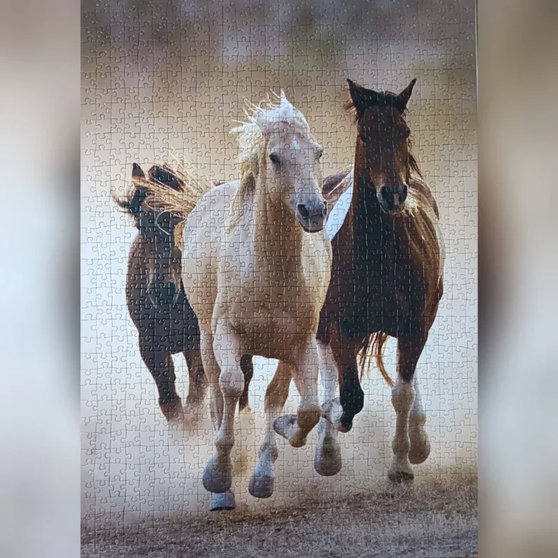 تصویر چیده شده پازل ۱۰۰۰ تکه اسبها در حال دویدن