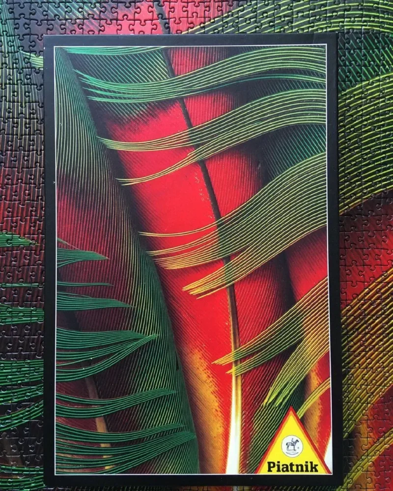 تصویر چیده شده پازل ۱۰۰۰ تکه پرهای طوطی